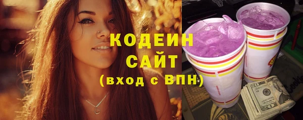 гидра Абаза