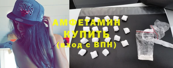 гидра Абаза
